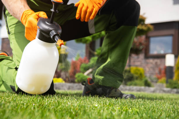 Best Pest Control for Homes  in Rome, IL
