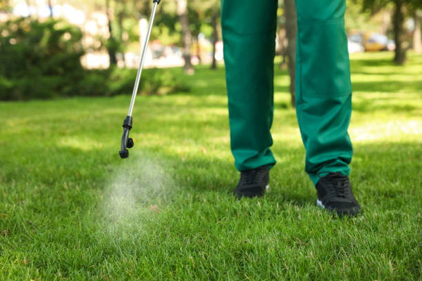 Best Affordable Pest Control Services  in Rome, IL