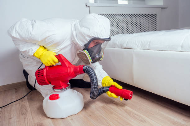 Best Emergency Pest Control  in Rome, IL