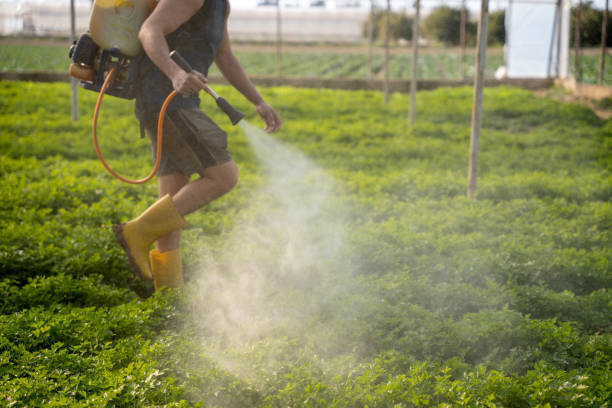 Best Best Pest Control Companies  in Rome, IL