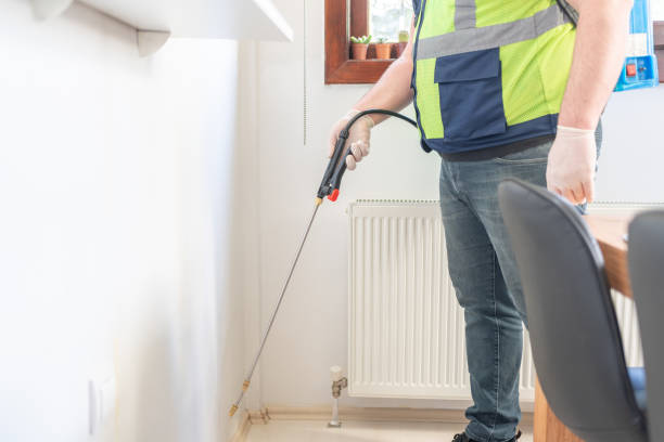 Best Wasp Removal Services  in Rome, IL