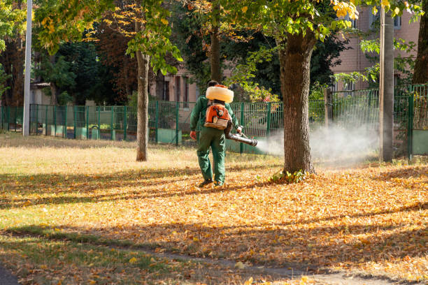 Best Commercial Pest Control Services  in Rome, IL