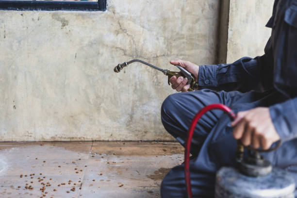 Best Pest Removal Services  in Rome, IL